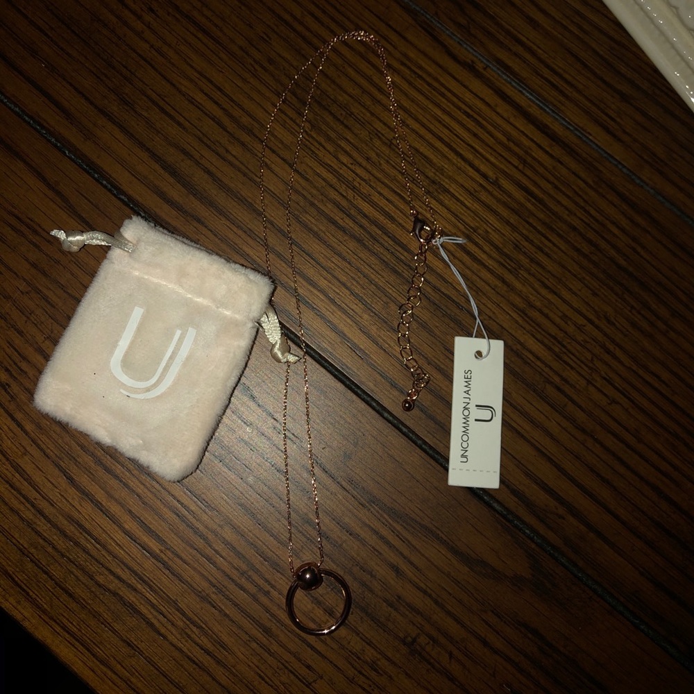 NWT Uncommon James necklace